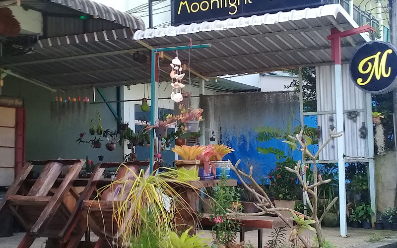 Moonlight House & Coffee