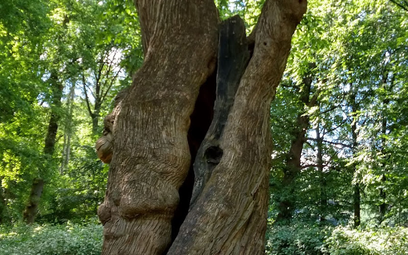 De Drie Poortwachters (Park De Gulden Bodem)