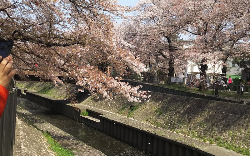 Zenpuku-ji River Green Space