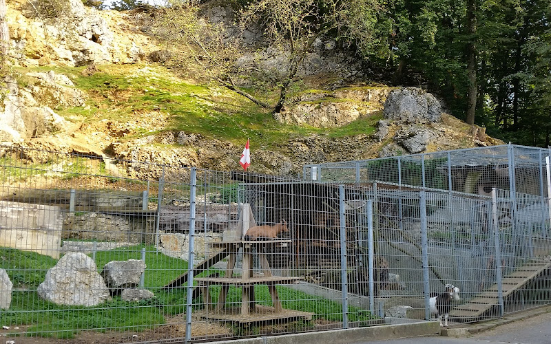 Wildpark Mühletäli