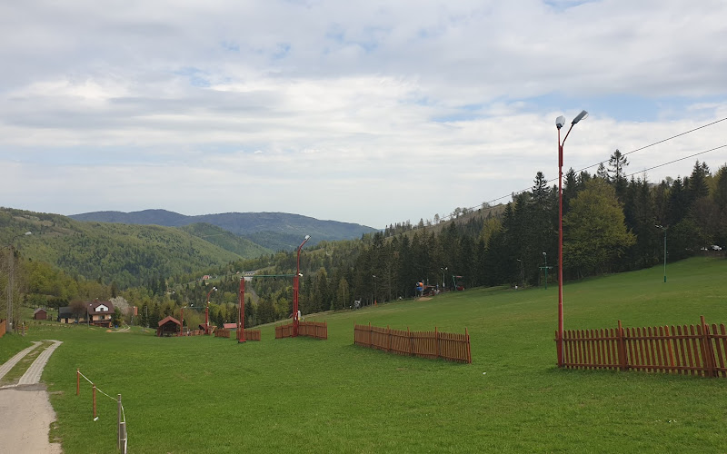 Jaskinia Salmopolska