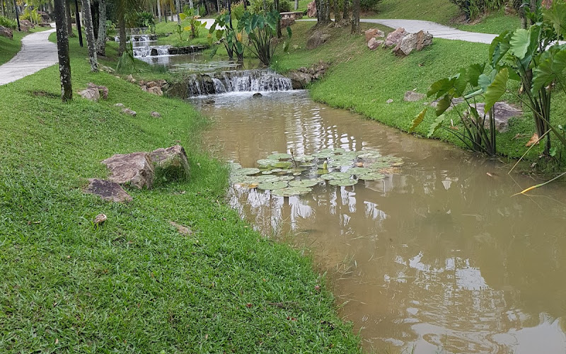 ザ・バタフライ・クリーク