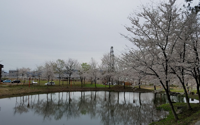 Oidanogo Park