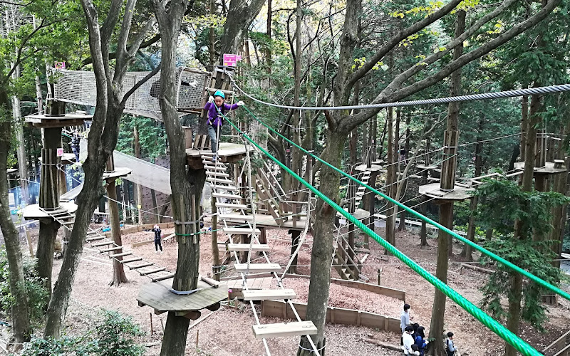 Forest Adventure Hakone