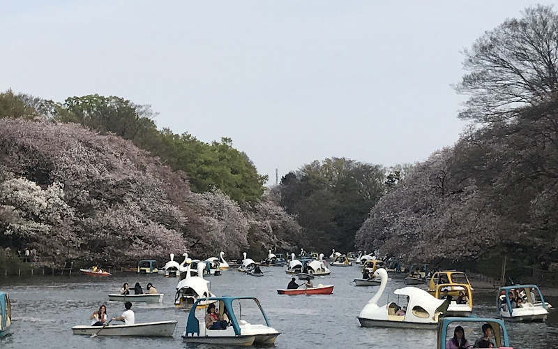 井之頭恩賜公園