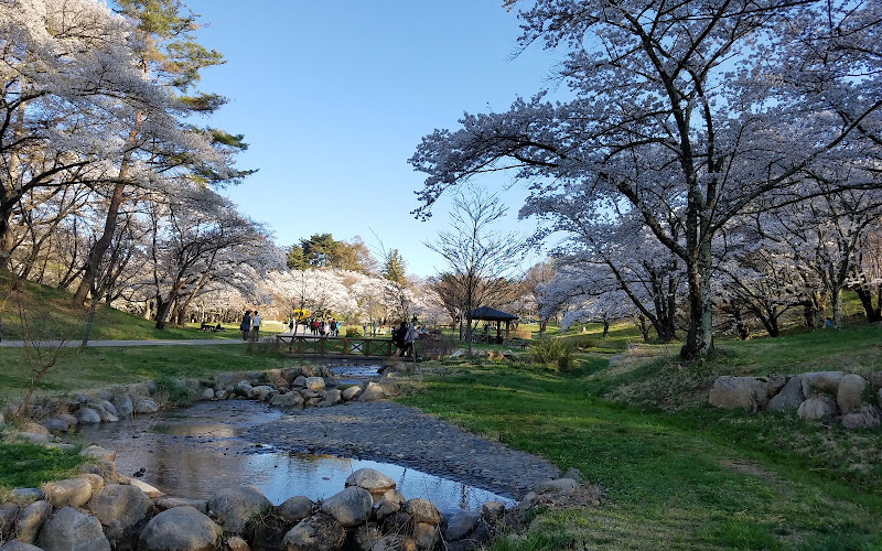 Matsumoto City Alps Park