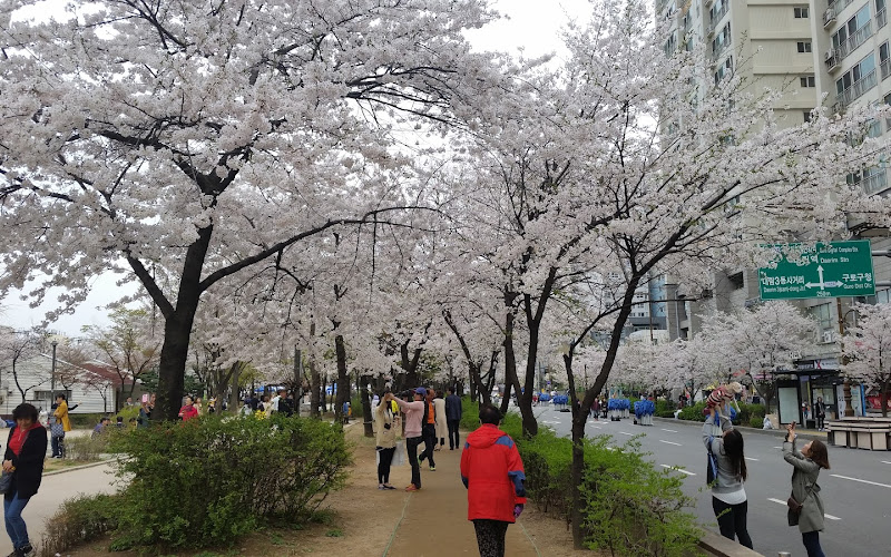 거리공원