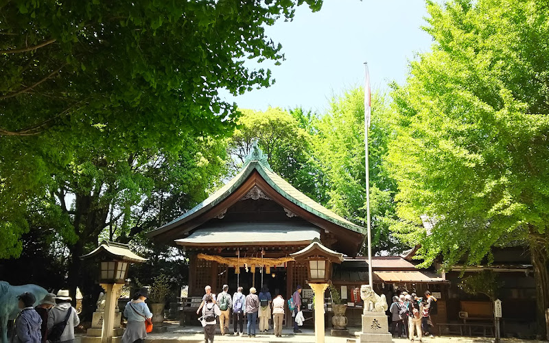 Futsukaichi Hachimangu