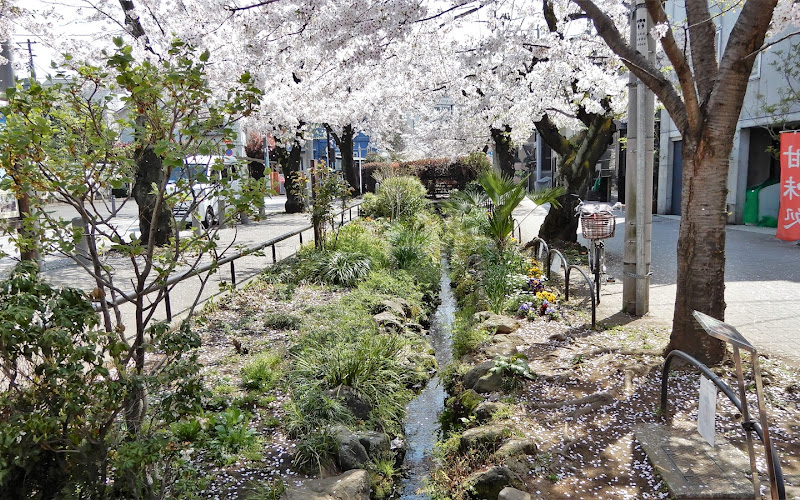 Kitazawa River Green Way