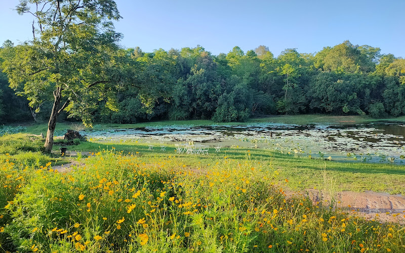 ジャングル スペース ヴィレッジ