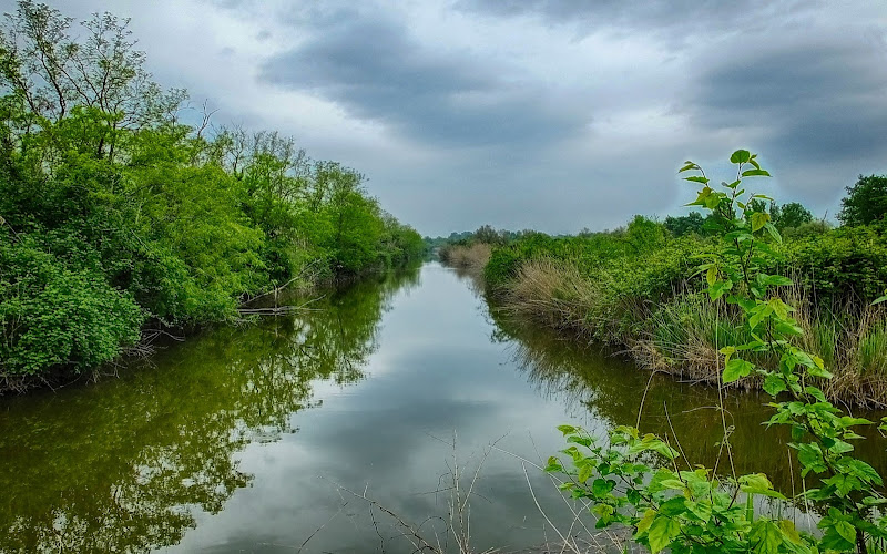 Valle Averto WWF