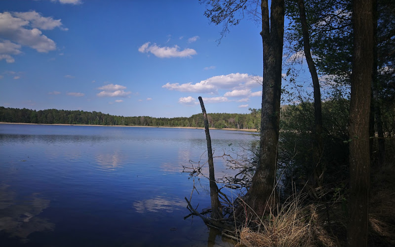 Rezerwat Przyrody Torfowisko przy Jeziorze Czarnym