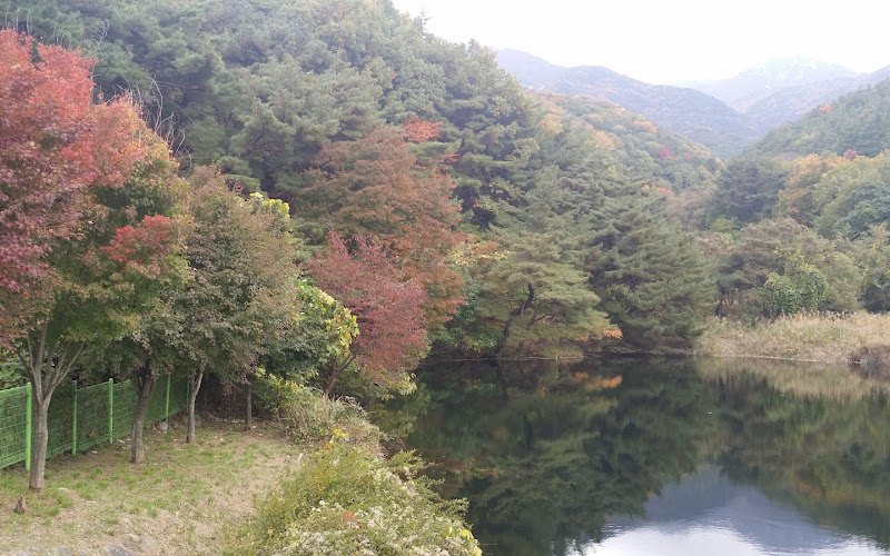 숲속의작은쉼터