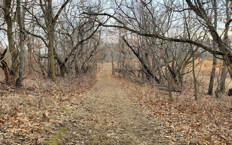 Manitou Island Wetlands