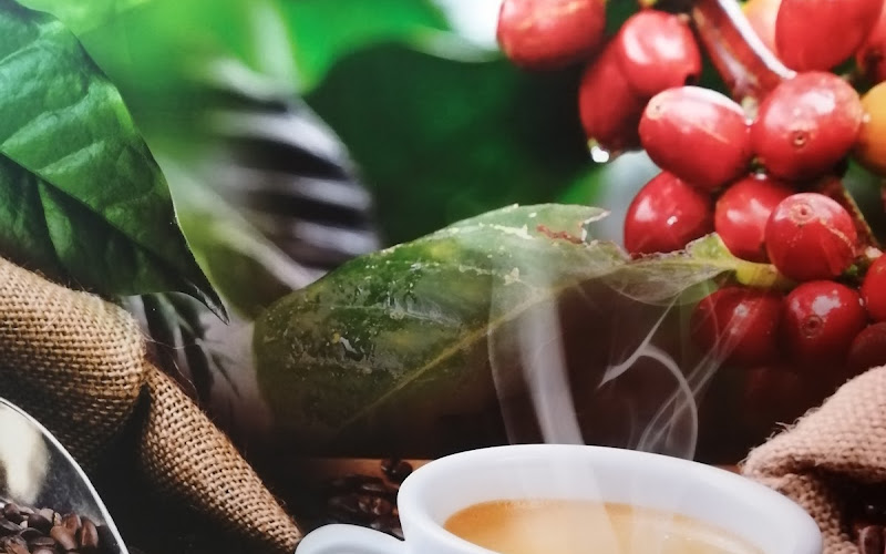 La Peppina Store in Store