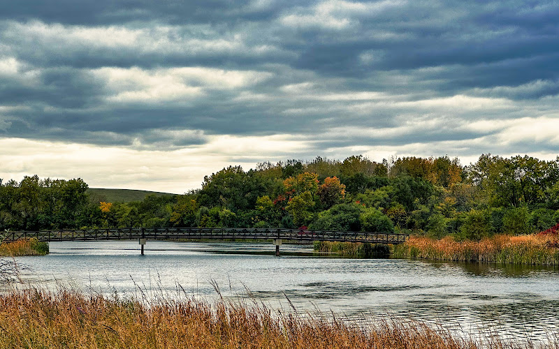 맬러드 레이크 포레스트 보호지역