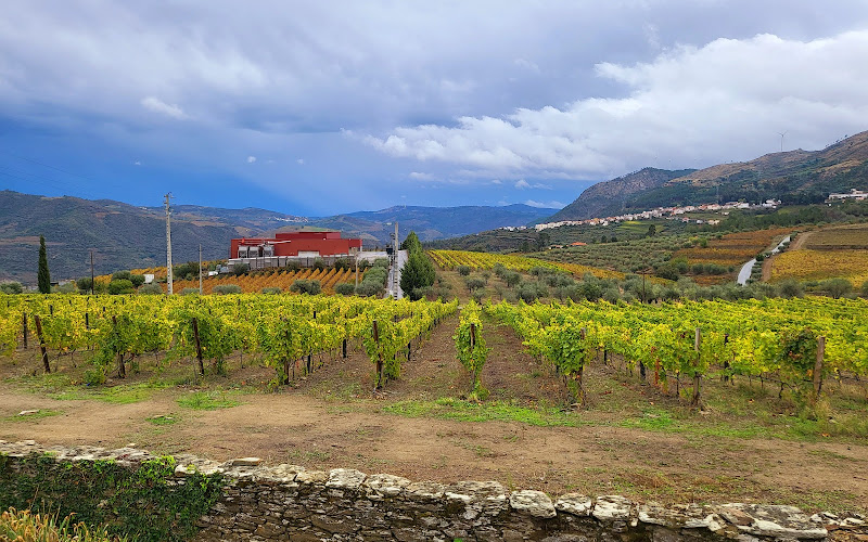 Quinta do Monte Travesso