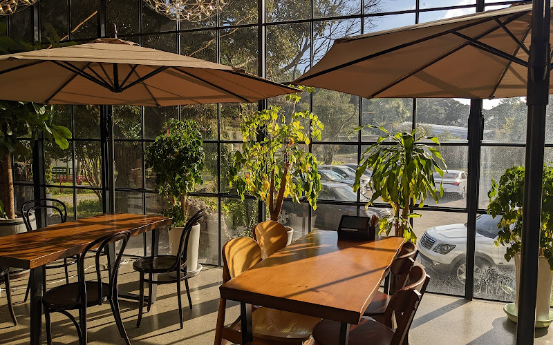 사우스포레스트