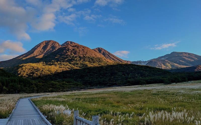 タデ原湿原 木道