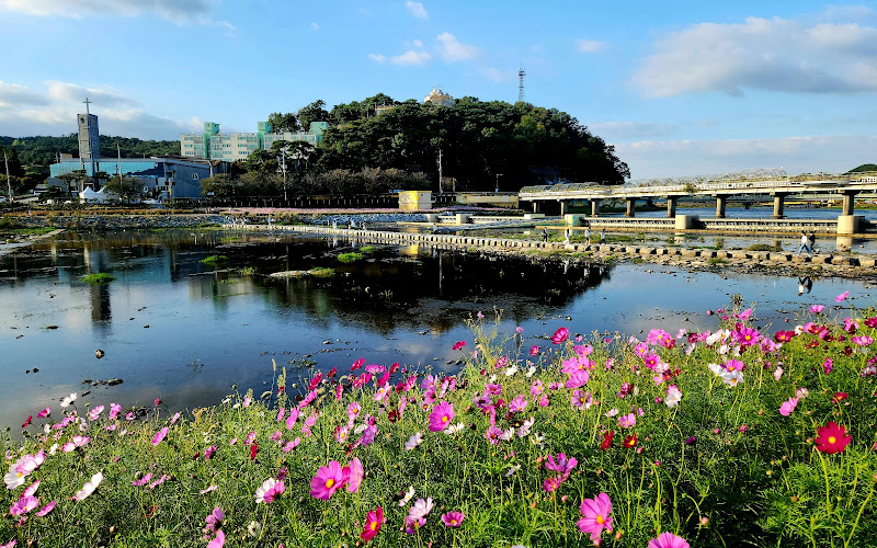 황룡강생태공원