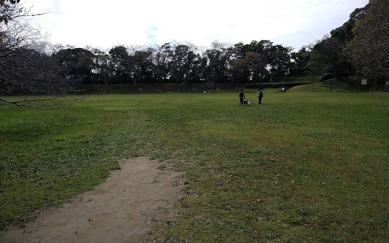 Sakura Castle Ruins