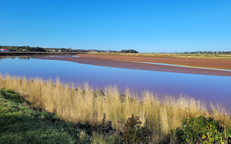 Fundy Discovery Site