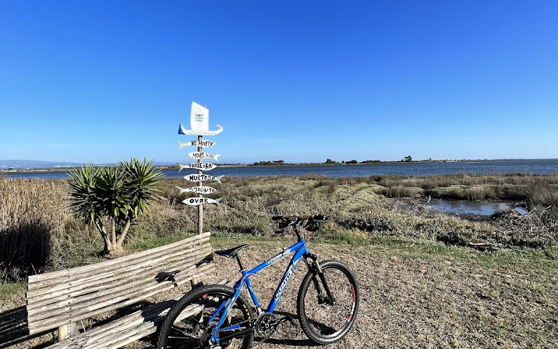 Maré Viva (Torreira)