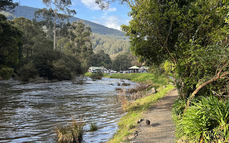 Warburton Picnic Park
