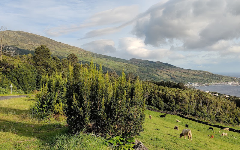 Miradouro da Cascalheira