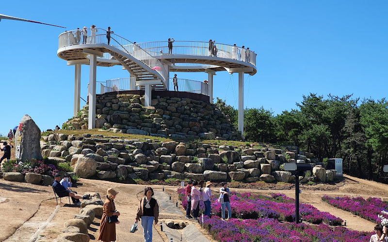 Hapcheon Shinsoyang Sports Park (Pink Muhly Colony)