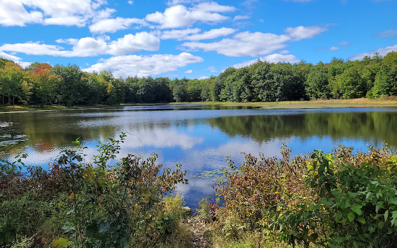 Fitzgerald Lake Conservation Area