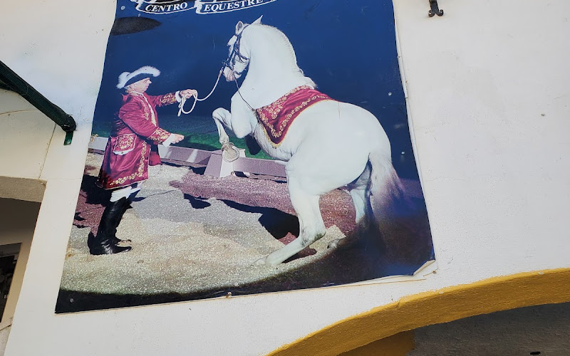 Valença Equestrian Tours