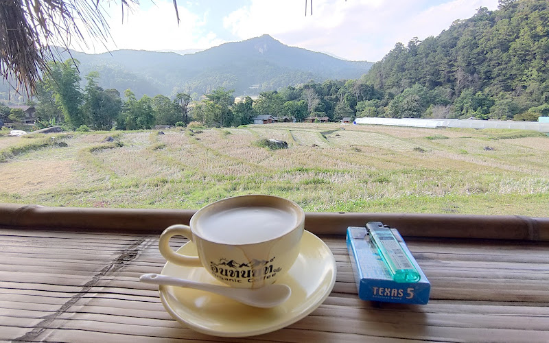 อินทนนท์ Organic coffee