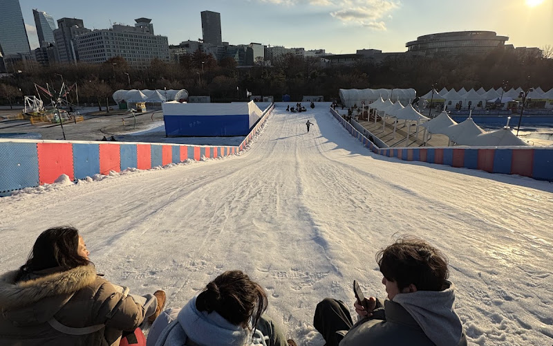 여의도 눈썰매 sleigh