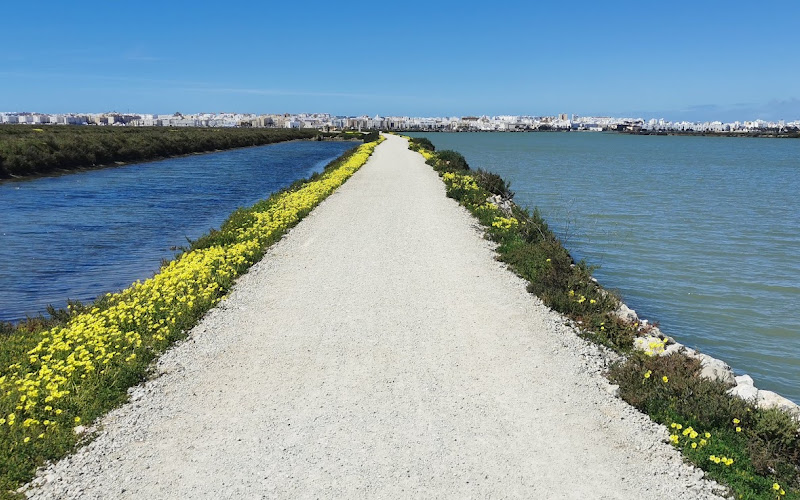 Sendero Caño El Carrascón
