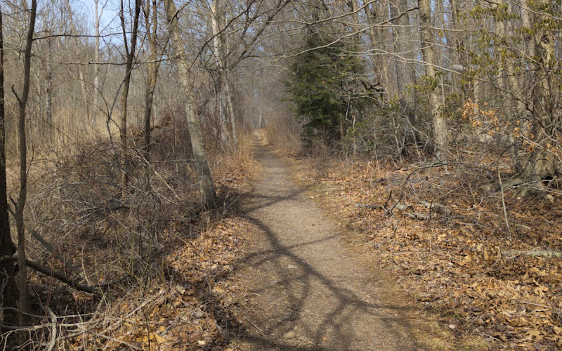 Youngs Pond Park