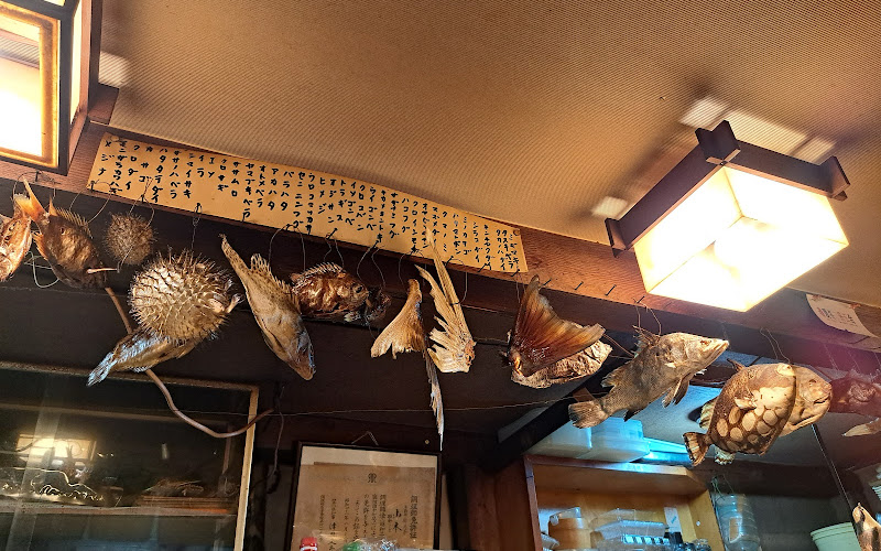 Shimanto