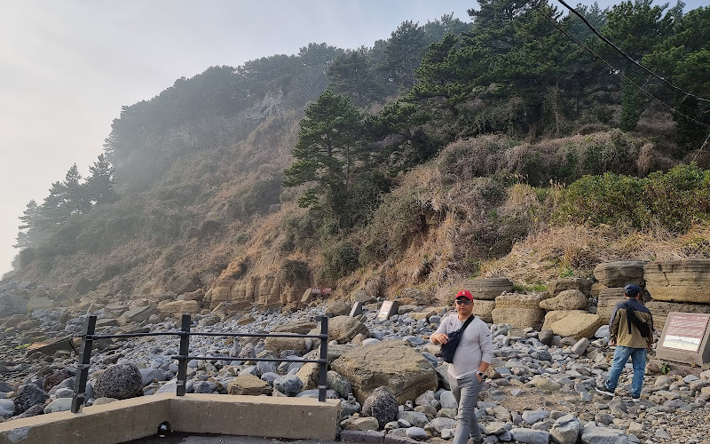 서귀포층패류화석