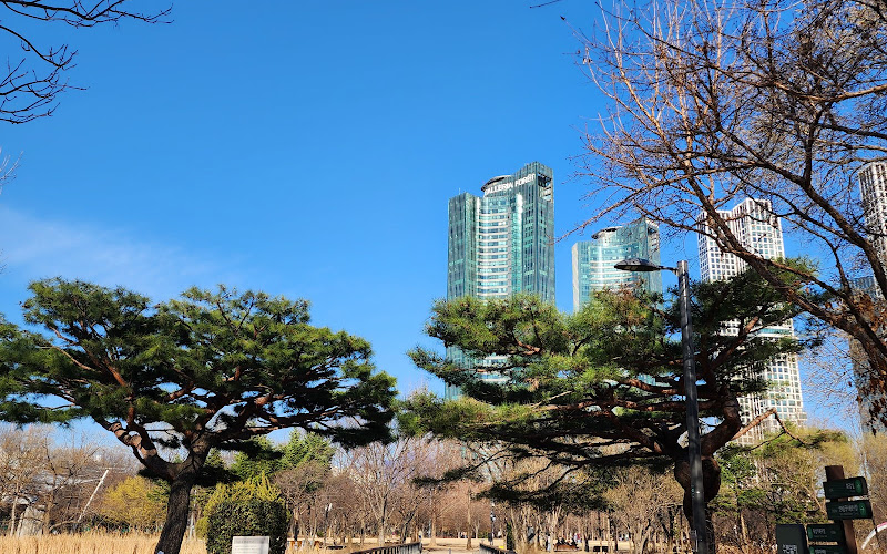 Seoul Forest - Splash Fountain