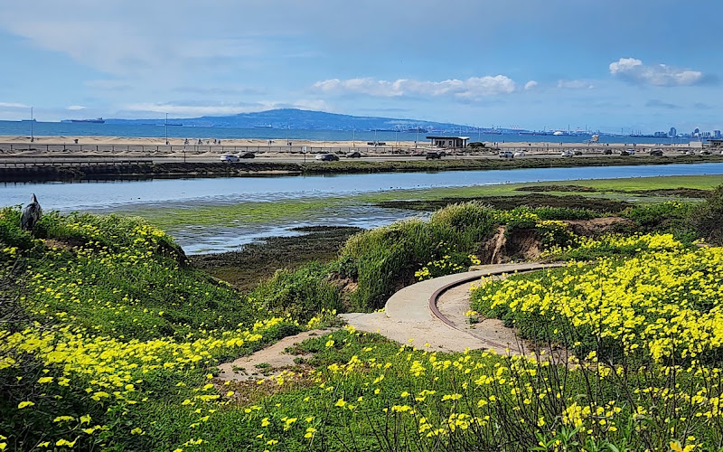 Bolsa Chica Conservancy