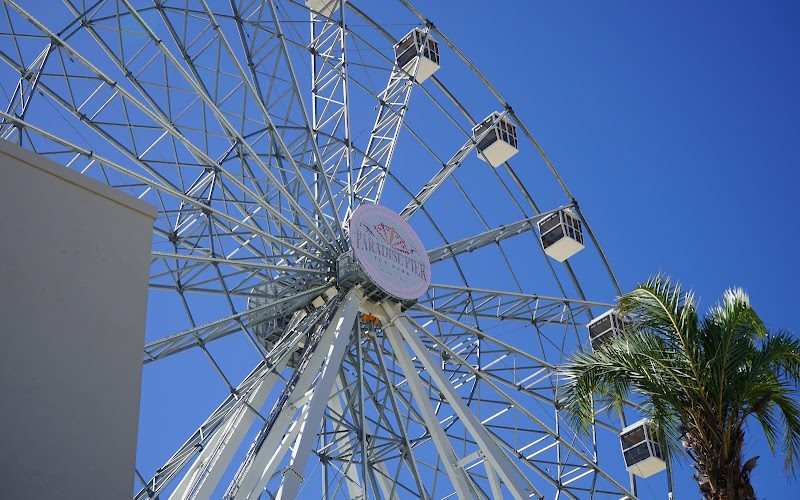 Paradise Pier Fun Park