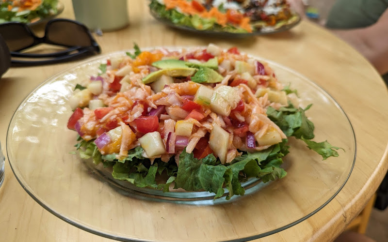 La Selva De Los Gatos