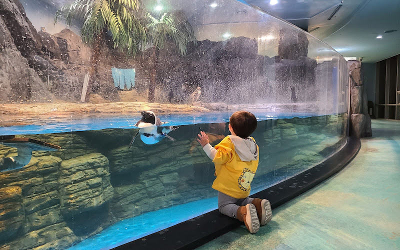 아쿠아플라넷일산