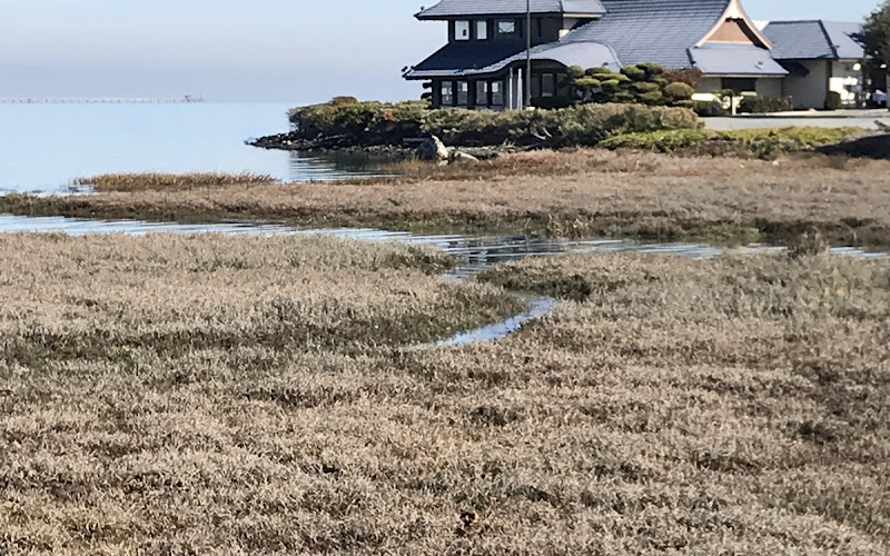 City of Burlingame Shorebird Sanctuary