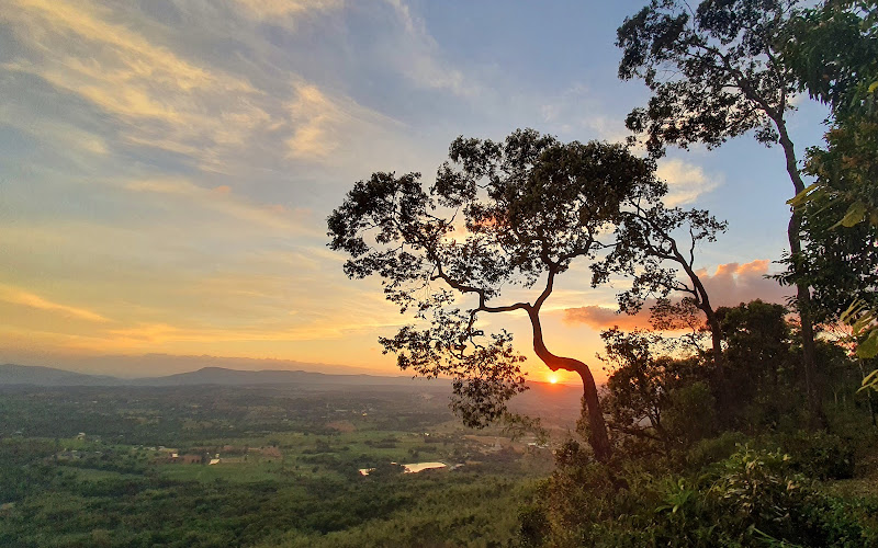 パーラック サラッドダイ