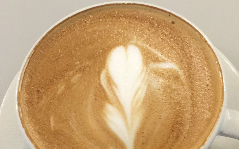 The 18 Coffee Roasters