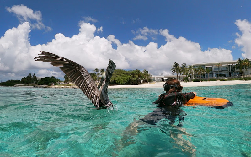 Aruba Adventure Tours