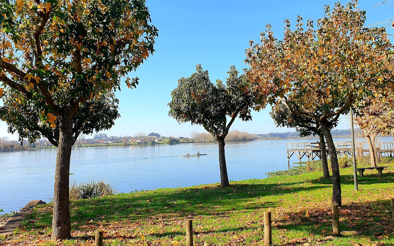 Pateira de Óis da Ribeira