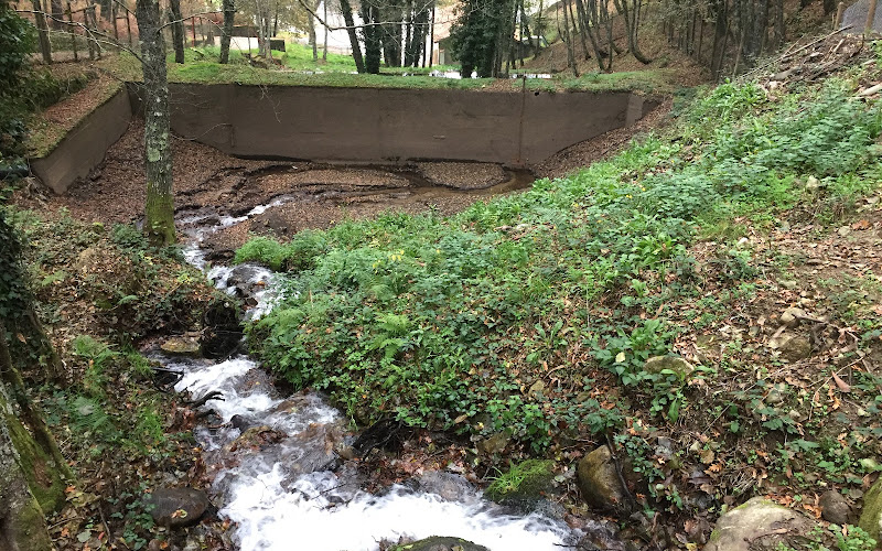 Parque Ambiental do Bucheiro – Ribeira de Pena