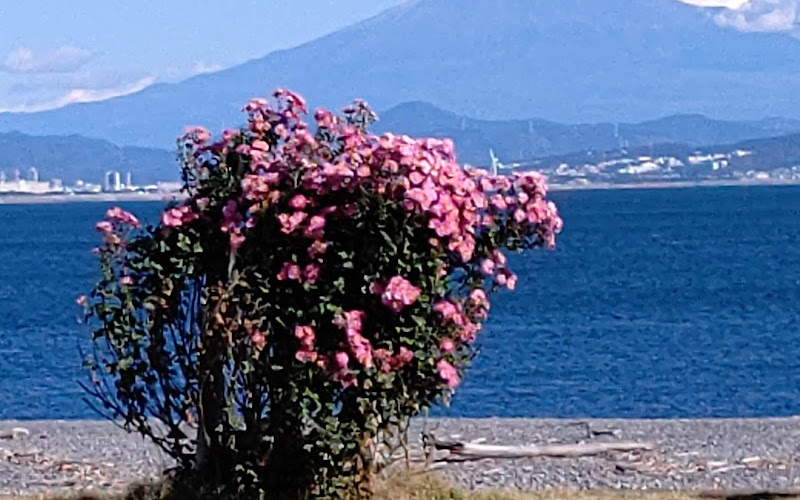Ishizu Coastal Park